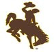Shop Wyoming Cowboys