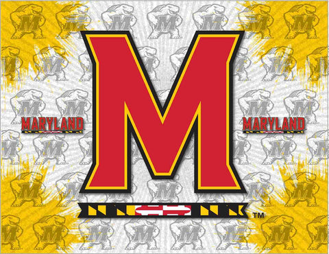Shop Maryland Terrapins HBS Gray Yellow Wall Canvas Art Picture Print - Sporting Up