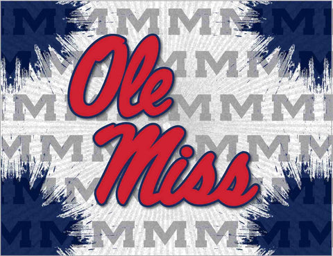 Shop Ole Miss Rebels HBS Gray Navy Wall Canvas Art Picture Print - Sporting Up