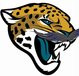 Shop Jacksonville Jaguars