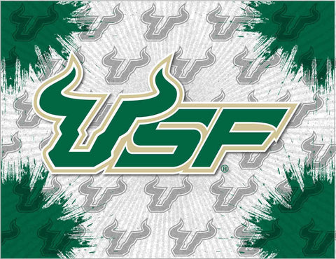 Shop South Florida Bulls HBS Gray Green Wall Canvas Art Picture Print - Sporting Up
