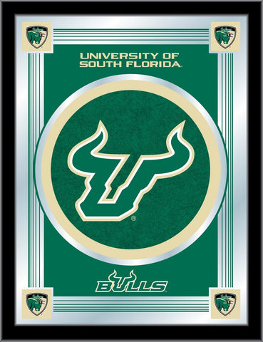 Miroir avec logo collector des Bulls Holland du sud de la Floride (17" x 22") - Sporting Up