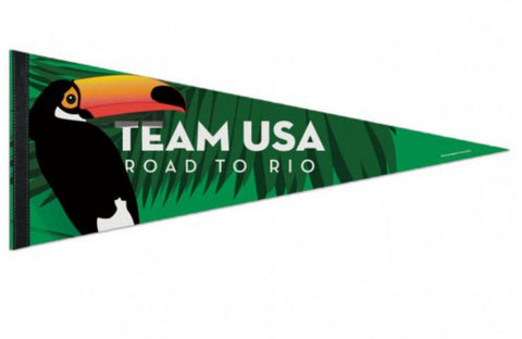 Shop United States 2016 Summer Olympics "Team USA Road to Rio" Premium Felt Pennant - Sporting Up