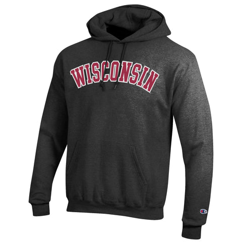 Wisconsin badgers champion grå powerblend-tröja med luvtröja i fleece - sportig